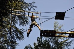 Tree Climbing