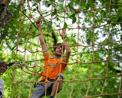 Accrobranche, activité adulte en Ardèche à Vallon Pont d'Arc