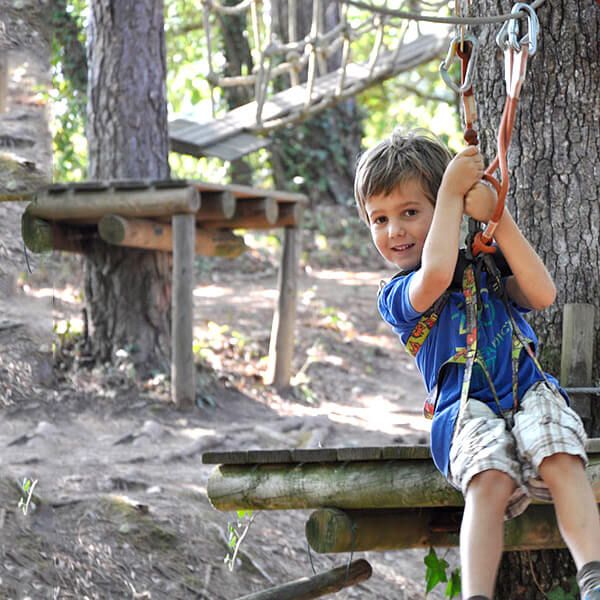 Tree climbing