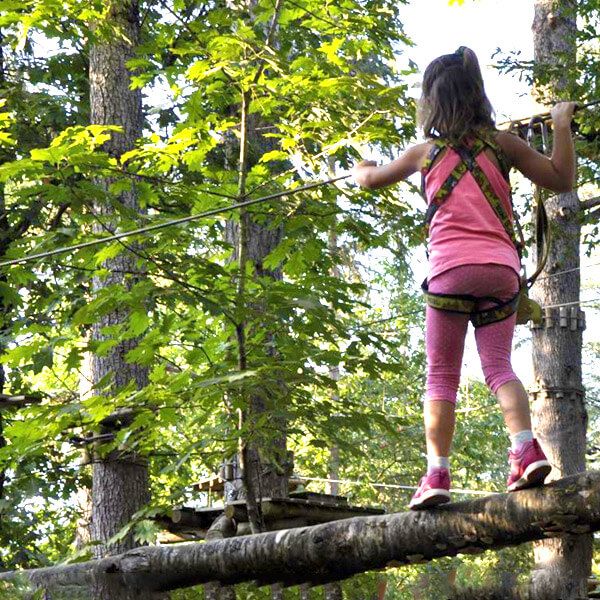 Schools and leisure centers